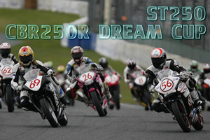 ST250/CBR250R DREAM CUP