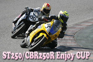 ST250/CBR250R Enjoy CUP