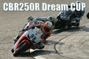 CBR250R Dream CUP