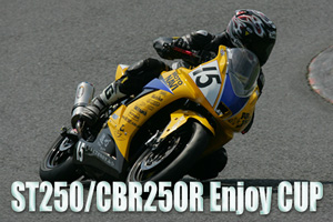 ST250/CBR250R Enjoy CUP