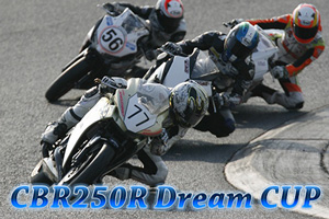 CBR250R Dream CUP