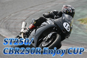 ST250/CBR250R Enjoy CUP