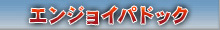 エンジョイパドック