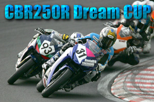 CBR250R Dream CUP