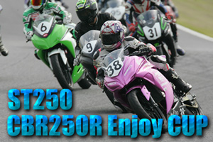 ST250/CBR250R Enjoy CUP