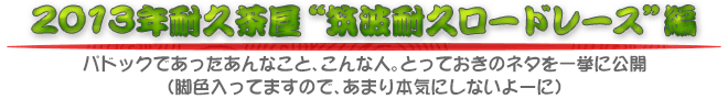 2013年耐久茶屋“筑波耐久ロードレース”編