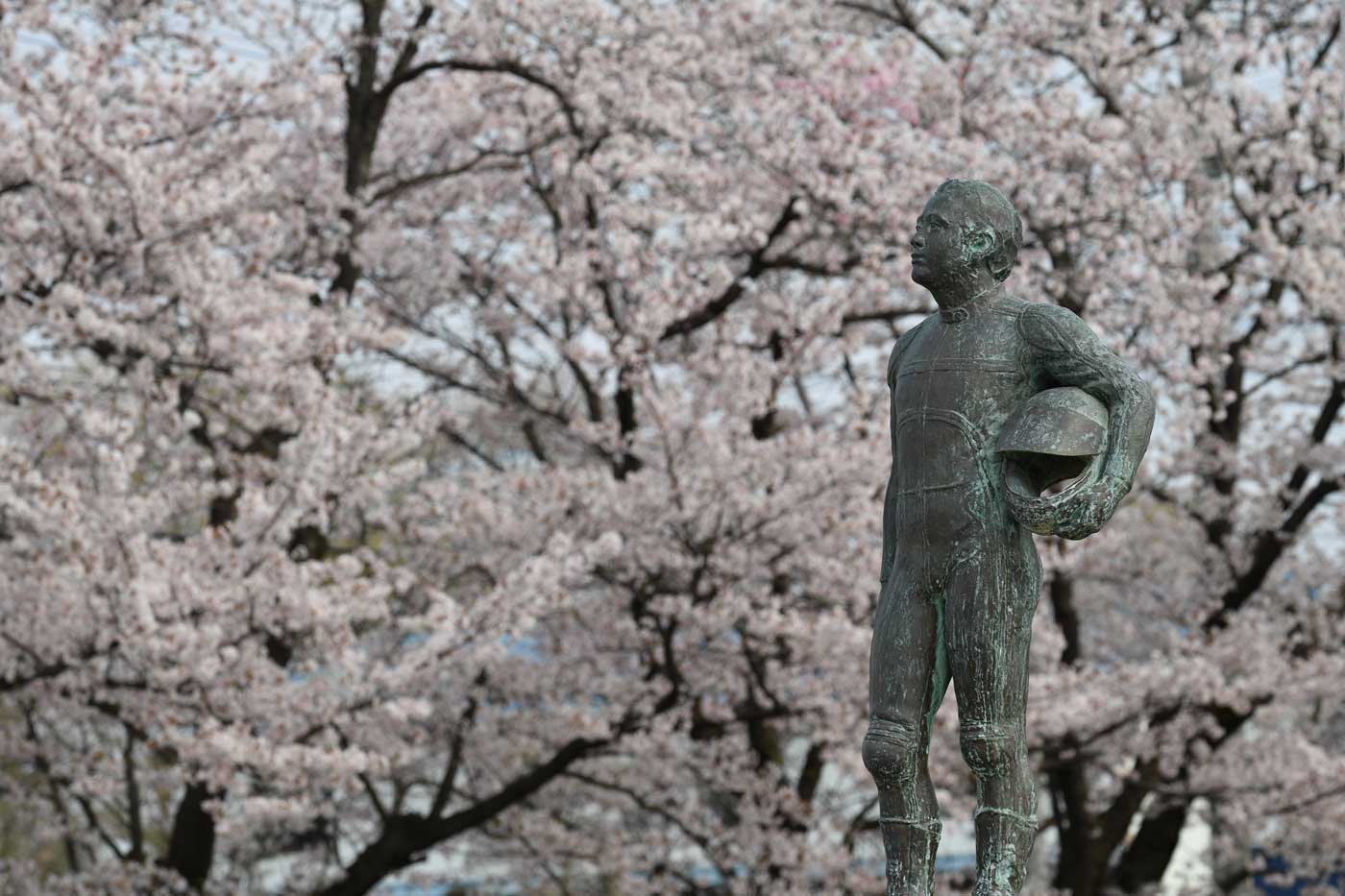 ギャラリー風景